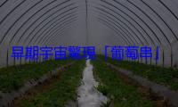 早期宇宙驚現「葡萄串」星系，含至少 15 個大質量恆星形成團塊